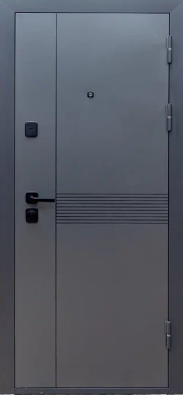 Товар Дверь Цербер Lang-yue Только 96 DIS007135