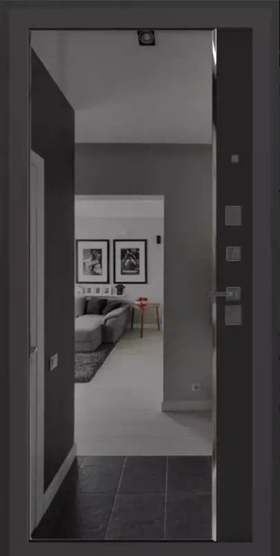 Товар Дверь Карбон DIS006616